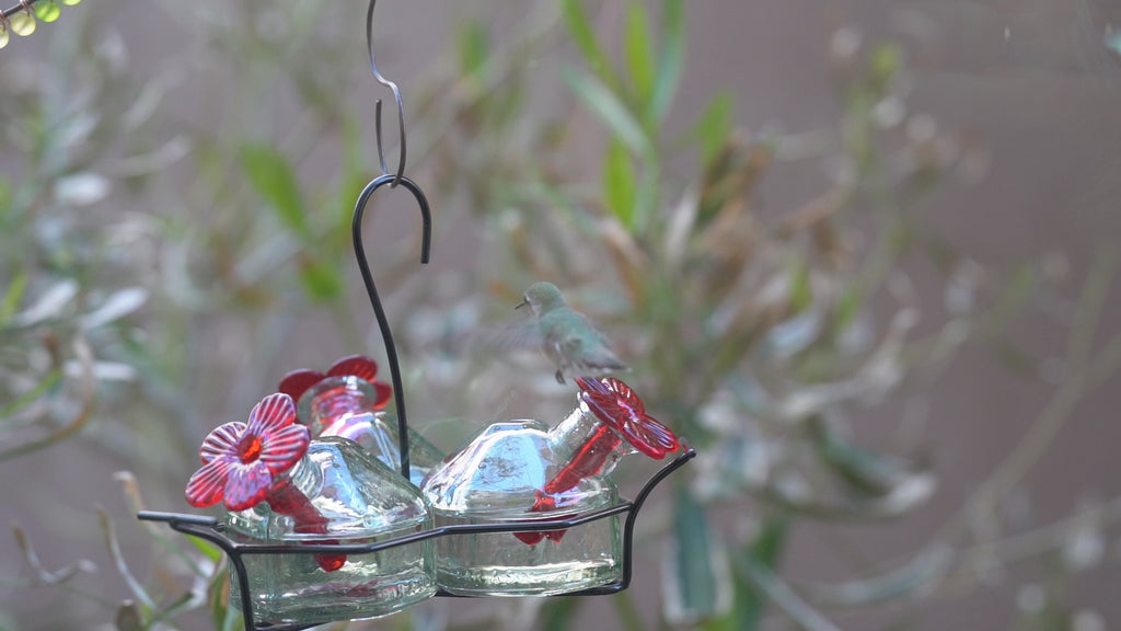 Bouquet-3 Hummingbird Feeder - Happy Gardens