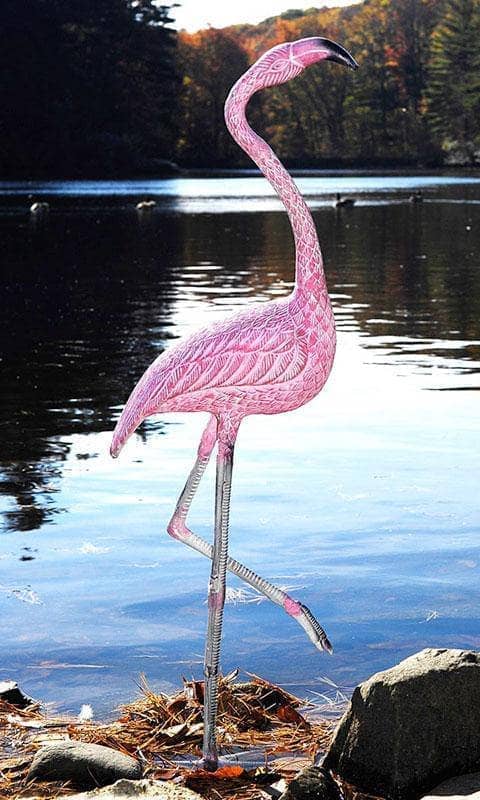 American Flamingo Statue - Happy Gardens