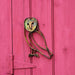 Happy Gardens - Barn Owl Wall Décor