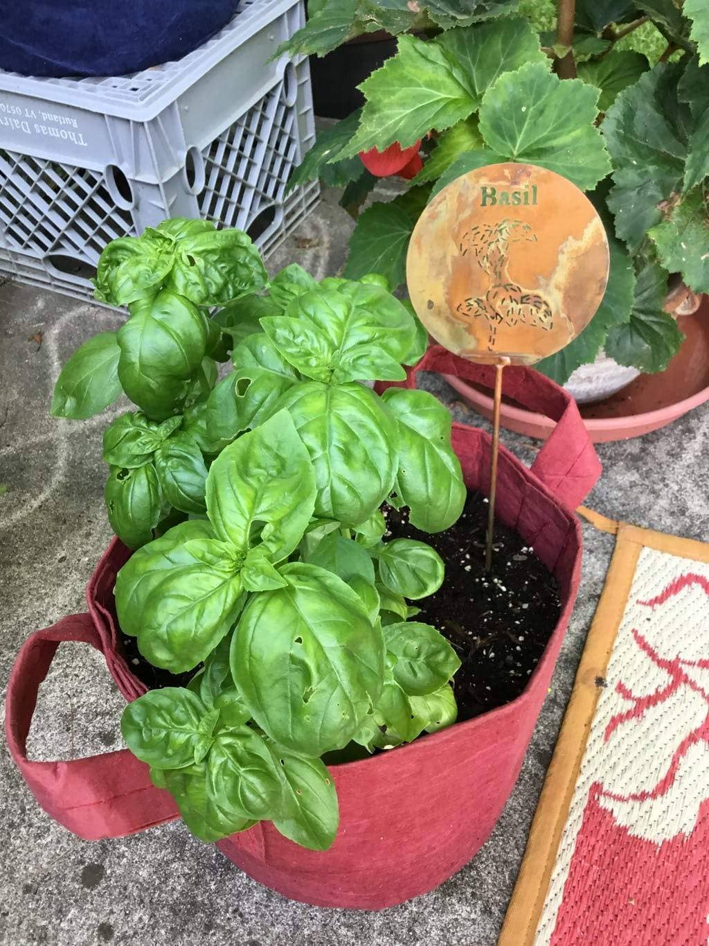 Happy Gardens - Basil Herb Garden Stake