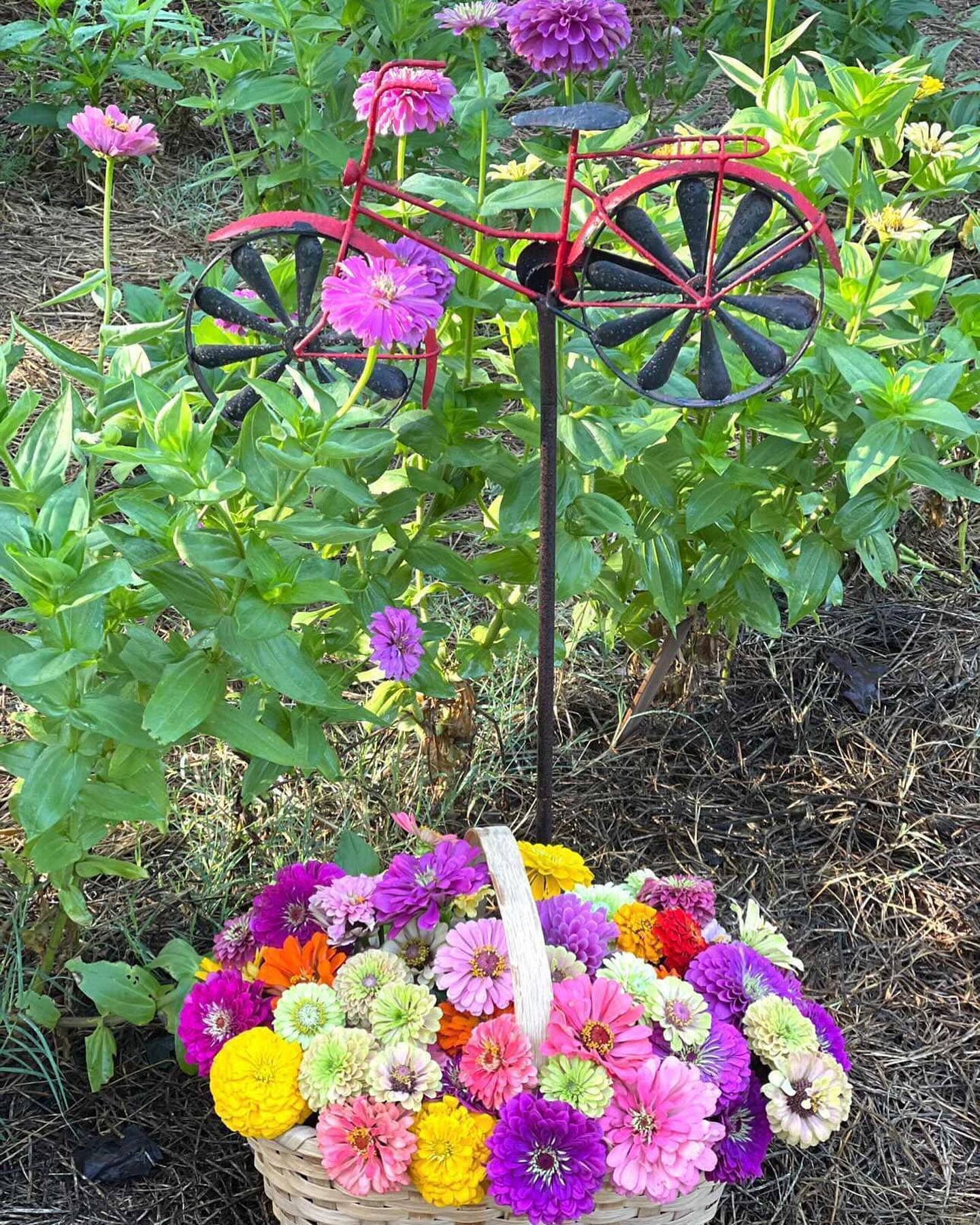 Bicycle Kinetic Art Windmill - Happy Gardens