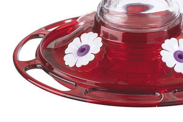 Big Gulp Hummingbird Feeder - Happy Gardens