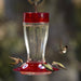 Big Gulp Hummingbird Feeder - Happy Gardens