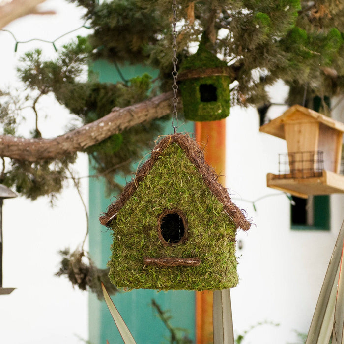 Woven Maison Moss Birdhouse - Happy Gardens