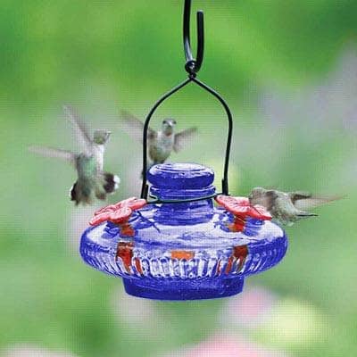 Bloom Hummingbird Feeder