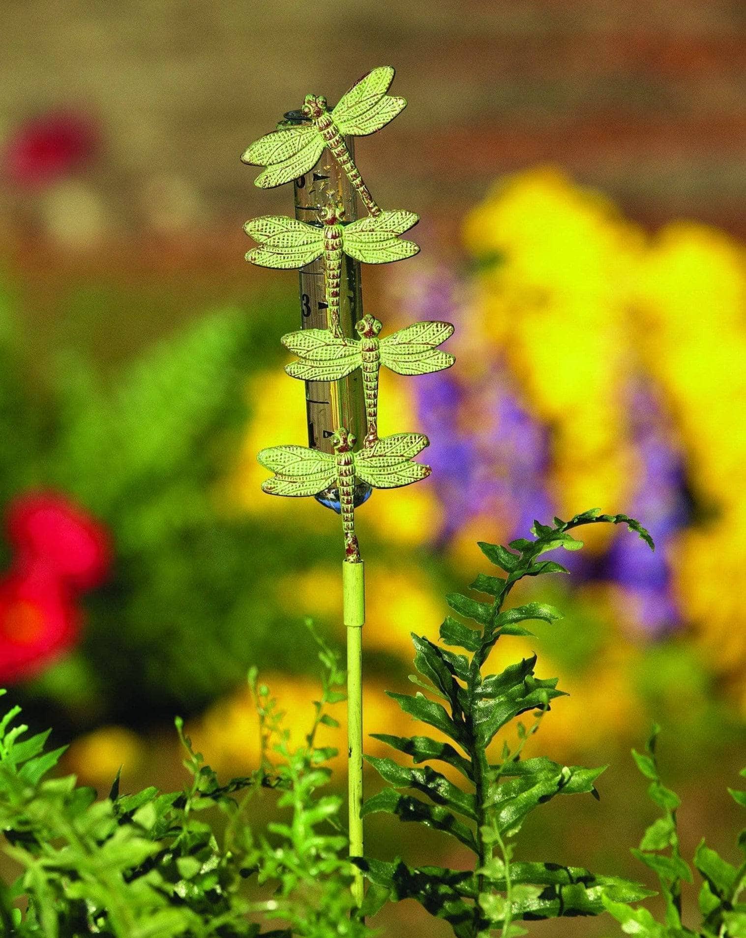 Happy Gardens - Cast Brass Dragonfly Rain Gauge