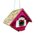 Christmas Wren Bird House - Happy Gardens