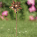 Happy Gardens - Dahlia Flower Wind Spinner 4”