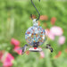 Dew Drop Hummingbird Feeder - Happy Gardens
