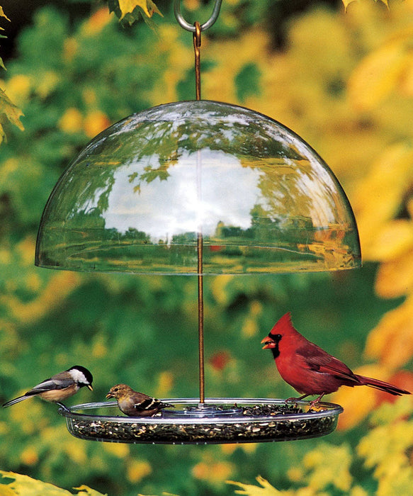 Dorothy's Cardinal Bird Feeder - Happy Gardens