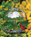 Dorothy's Cardinal Bird Feeder - Happy Gardens