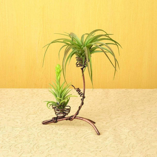 Curved copper wire stand holding two green air plants at different heights on a beige textured surface
