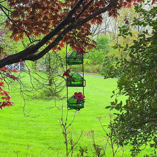 Lunch Pail Hummingbird Feeder, Green - Happy Gardens