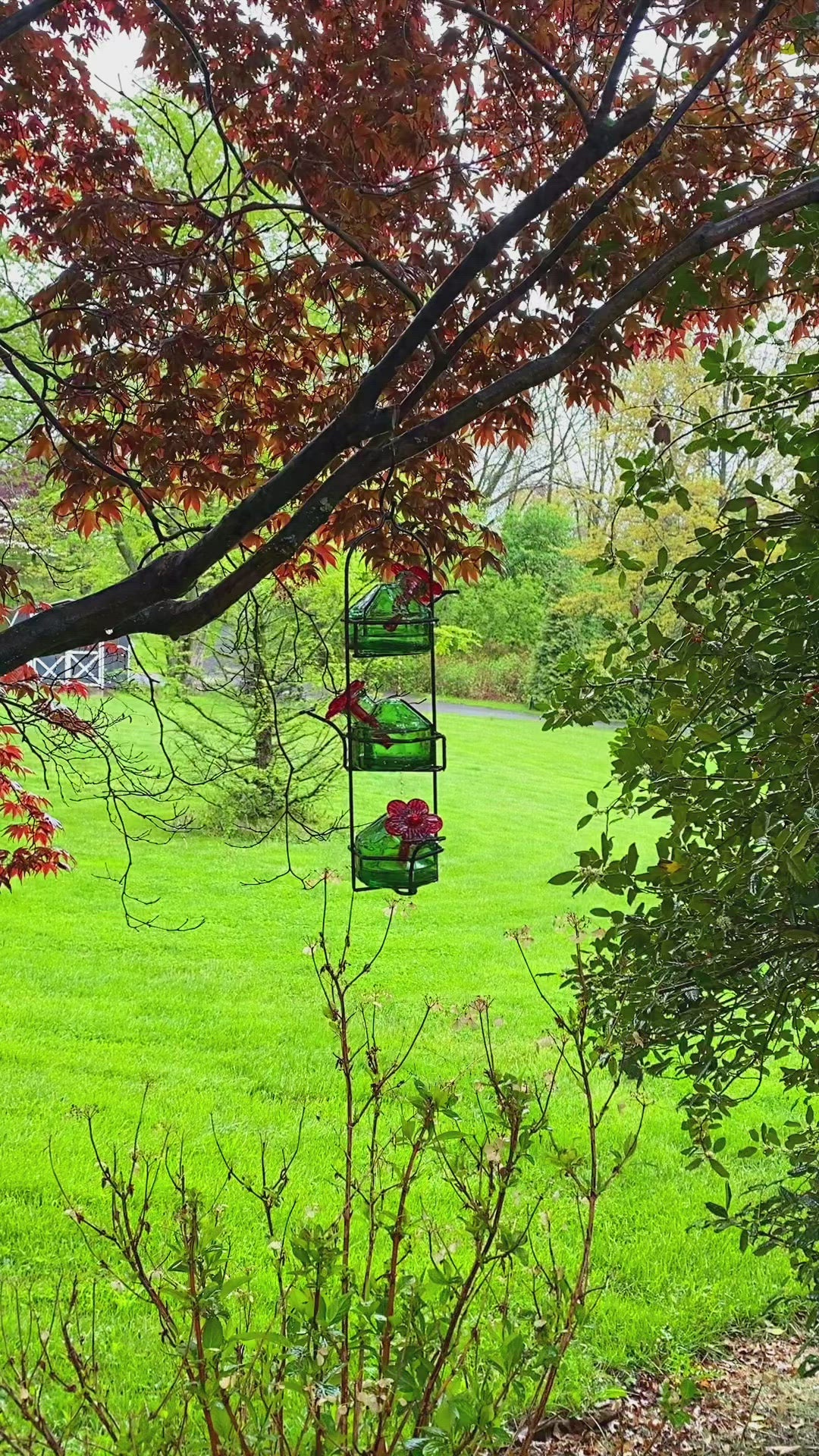 Lunch Pail Hummingbird Feeder, Green - Happy Gardens