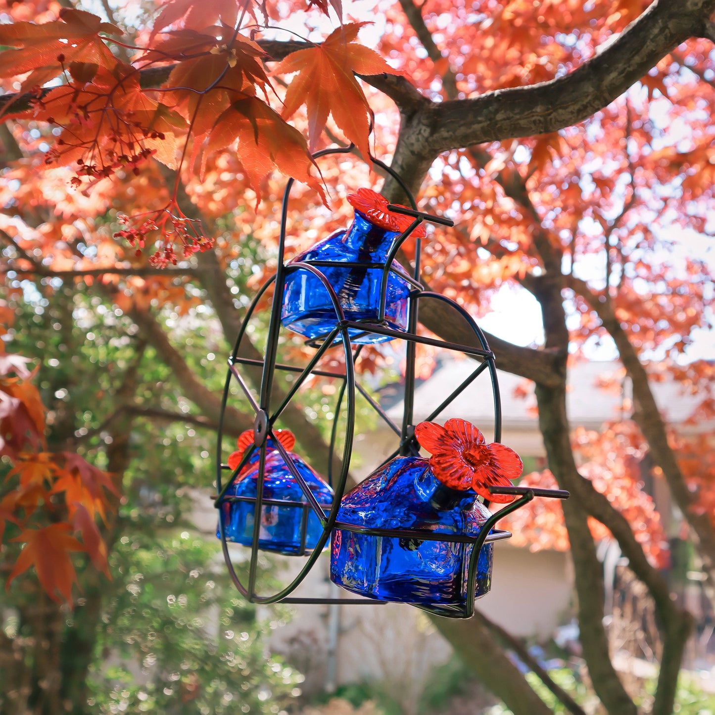 Ferris Wheel Hummingbird Feeder - Happy Gardens