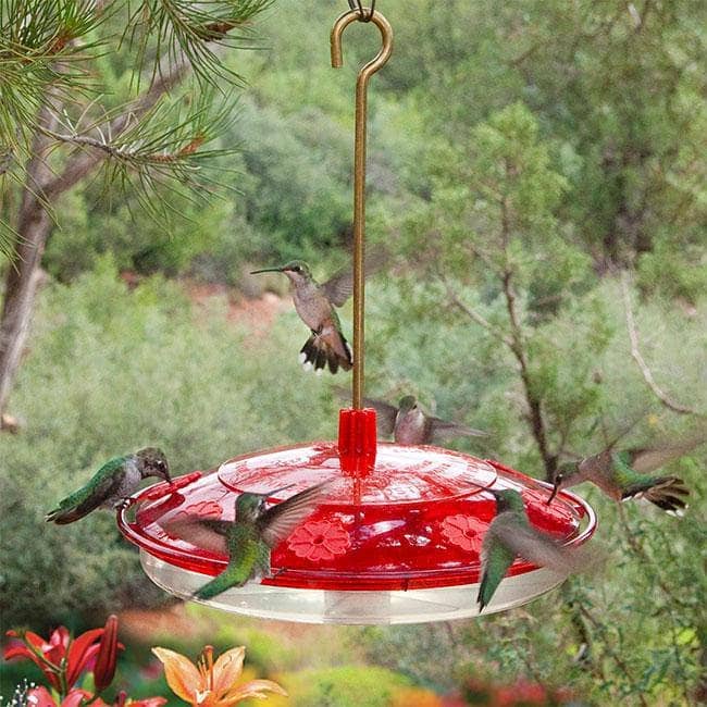 Happy Eight-2 Hummingbird Feeder - Happy Gardens