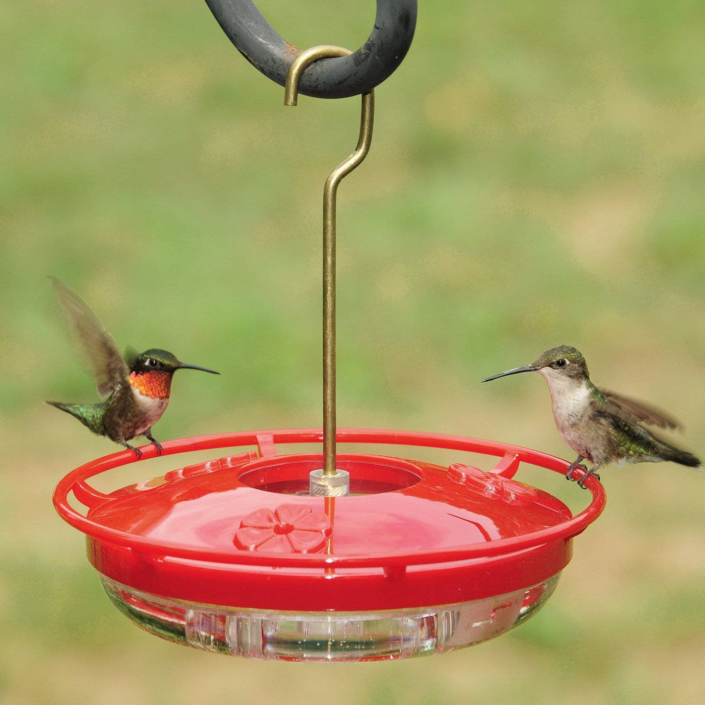 Hummingbird Feeder - 8 oz High View HummZinger Mini