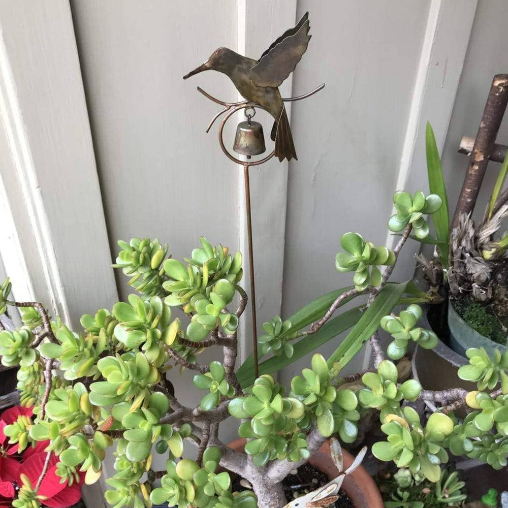 hummingbird potted plants Hummingbird Garden Decor Stake