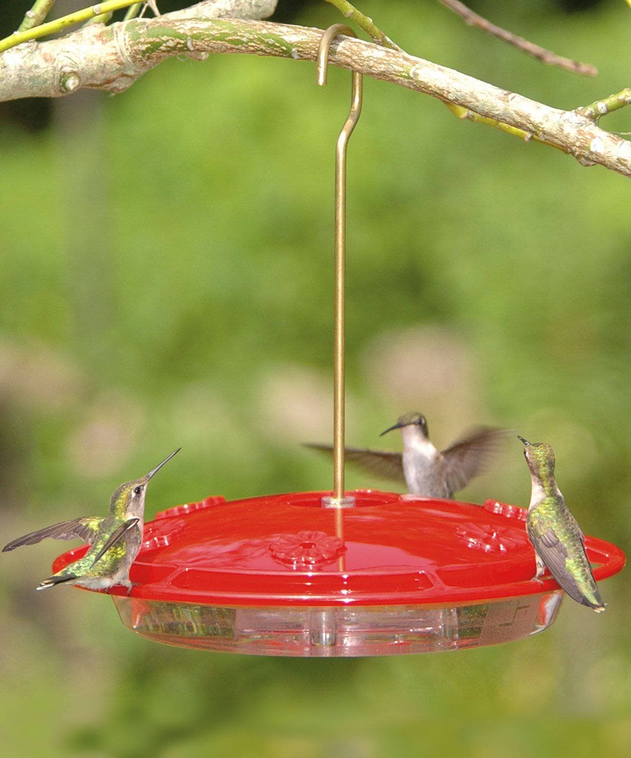 HummZinger Excel Hummingbird Feeder, 16 oz. - Happy Gardens