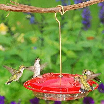 HummZinger Ultra with Nectar Guard - Happy Gardens