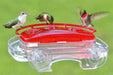 Jewel Box Window Hummingbird Feeder - Happy Gardens