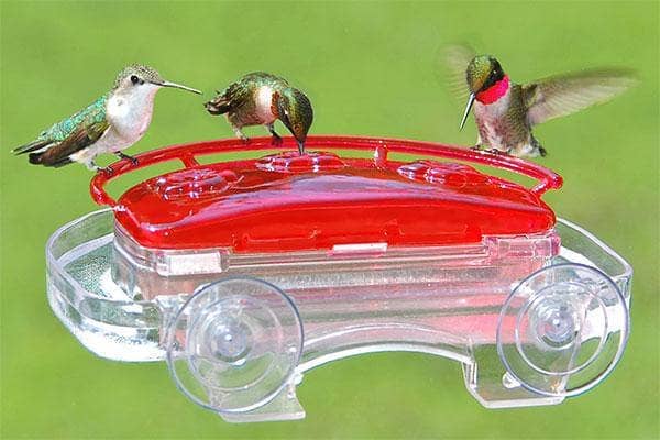 Jewel Box Window Hummingbird Feeder - Happy Gardens