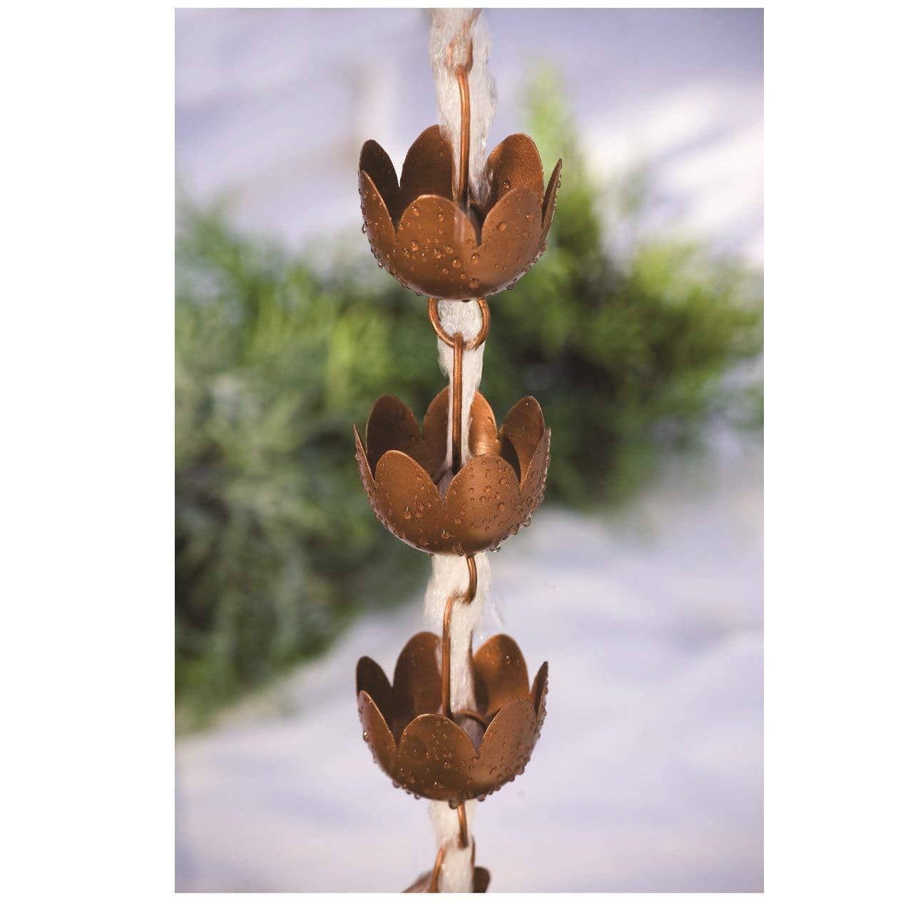 lily cup flower Ancient Graffiti Lily Cup Rain Chain