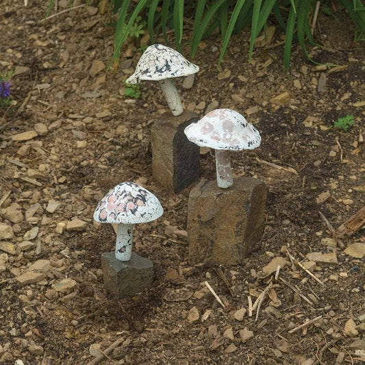 Happy Gardens - Little Fungi on Stone Garden Statue