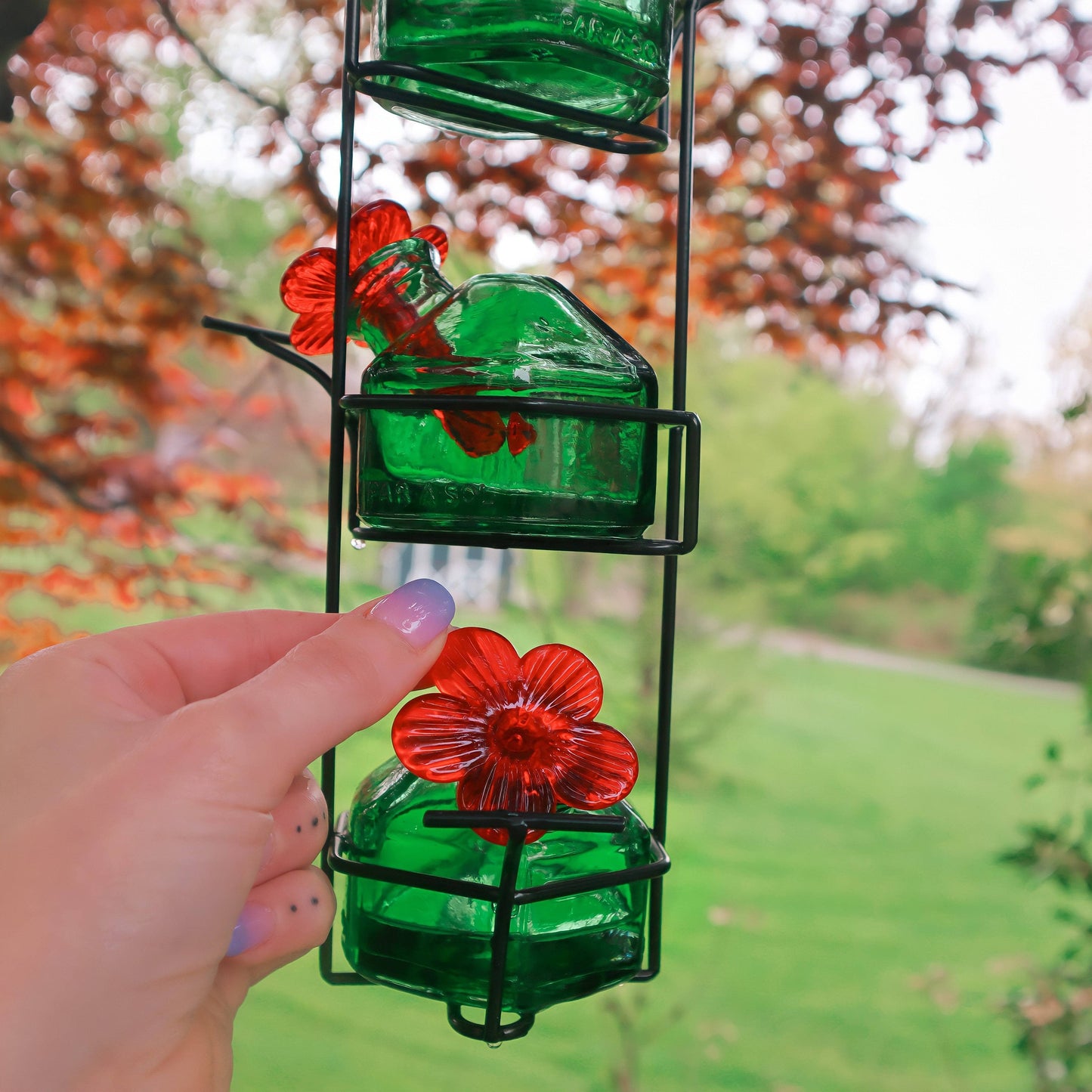 Lunch Pail Hummingbird Feeder, Green - Happy Gardens