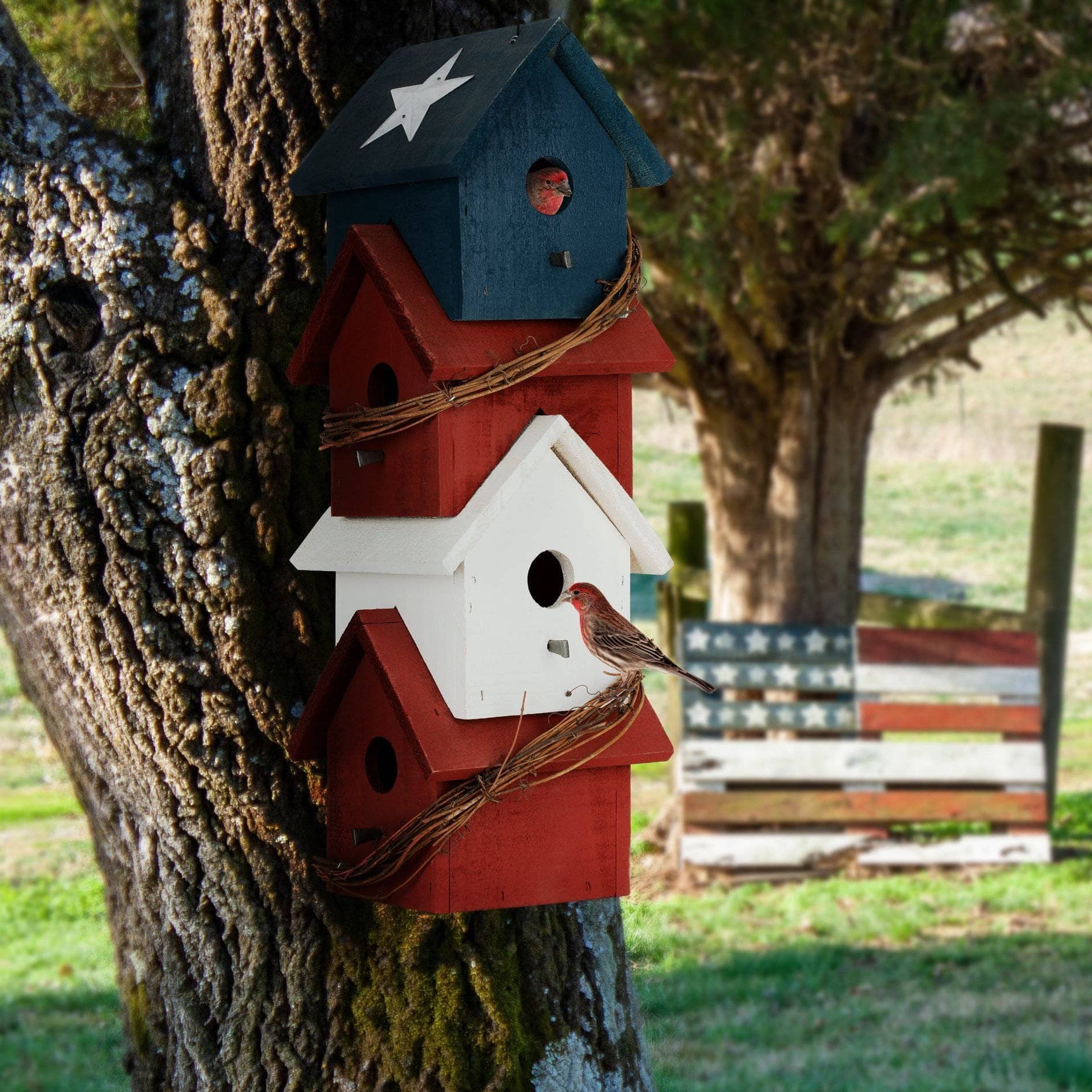 Piedmont Patriotic Birdhouse - Happy Gardens