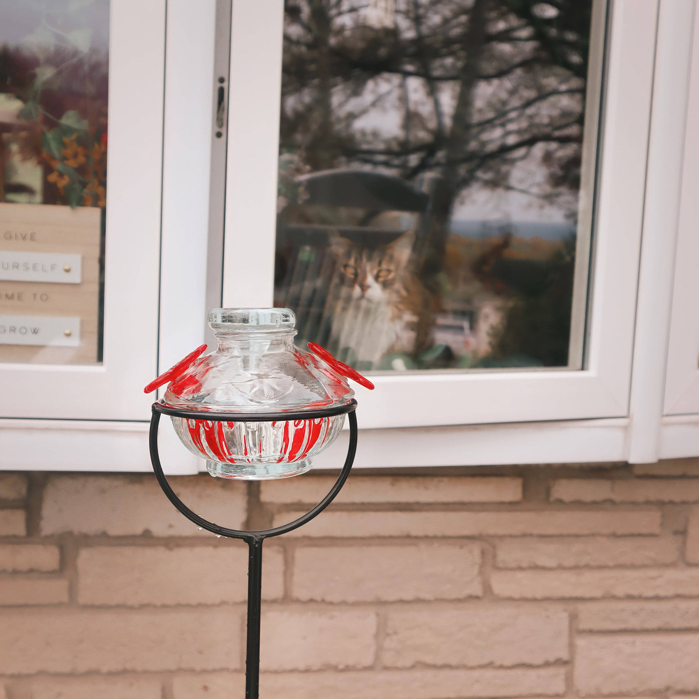 Pot de Creme Staked Hummingbird Feeder, Clear, 8 oz.