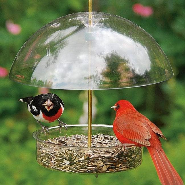 Seed Saver Domed Bird Feeder - Happy Gardens