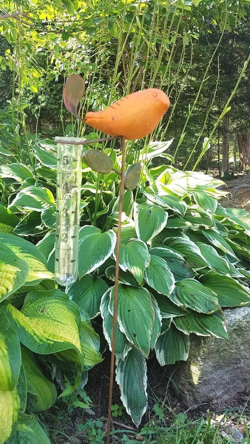 Happy Gardens - Spice Bird Rain Gauge