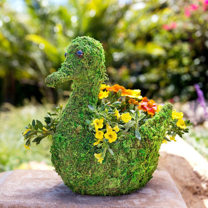 swan pot plant Moss Swan Planter, 13in – Happy Gardens