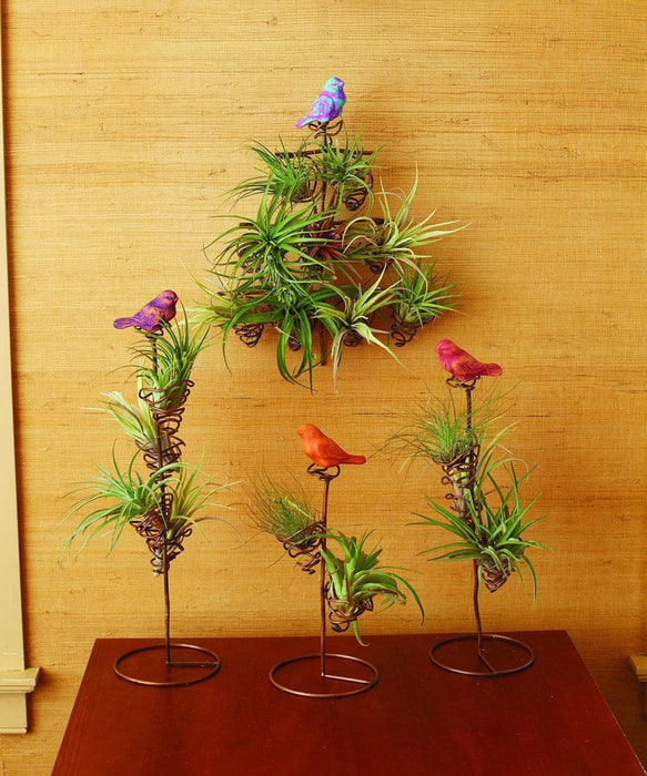 Happy Gardens - Terra Cotta Bird Plant Holder With 4 pods